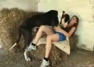 Big dog and astonishing slender zoophile