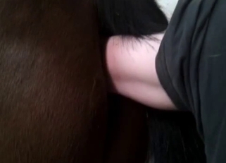 Shoving my loaded boner in horse ass