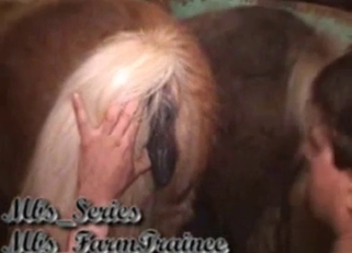 Sexy mature gives her stallion a rimjob