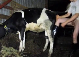 Fucking good cow in doggy pose as I love