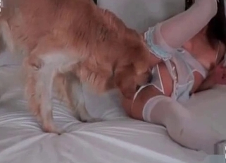 Awesome playful doggy banged her lil hole