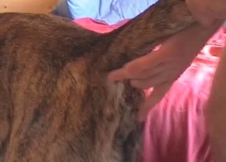 Preparing my doggy for amazing anal sex
