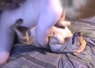 Screwing my nice dog in missionary pose