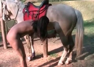Ebony doll sucks a nice huge stallion
