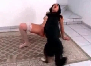 Black dog fucked her hole in missionary pose