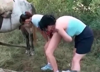 Two busty chicks zoophiles and stallion