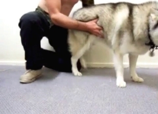 Beauty white doggy and perverted male