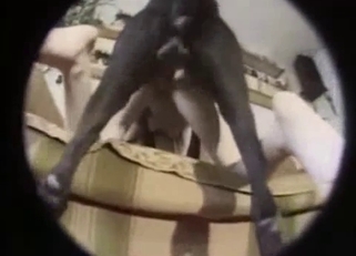 Black dog pounds her crack like an insane