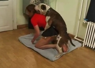 Beautiful doggy in awesome bestiality XXX