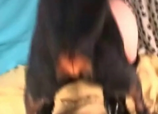 Sexy black dog hardly penetrated her cunt