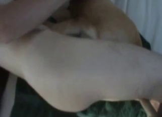 Shoving hard wiener in doggy tight hole