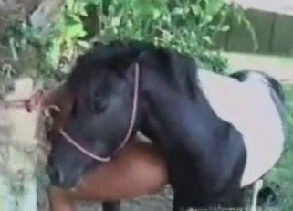 Good-looking ebony and her small pony