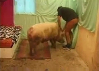 Dog cock is perfect for that pussy