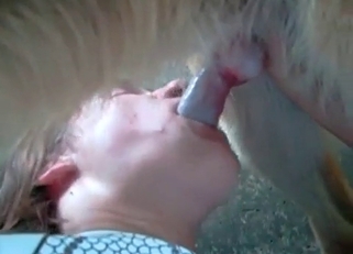 Brunette enjoys sloppy blowjobs