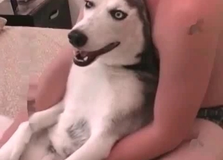 Nice cock for a petite doggy